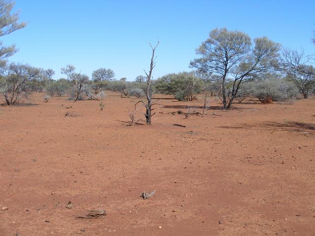 Looking South from the confluence