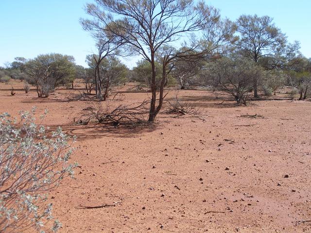 Looking West from the confluence