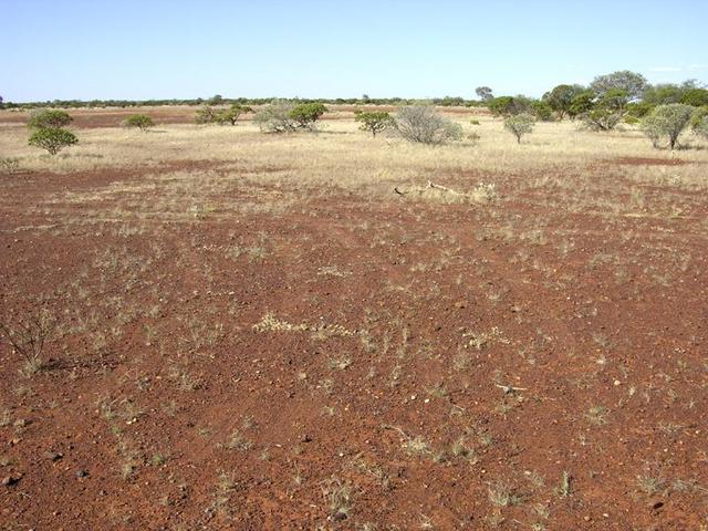 View of the confluence looking north east