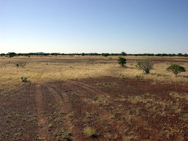 View from the confluence looking north