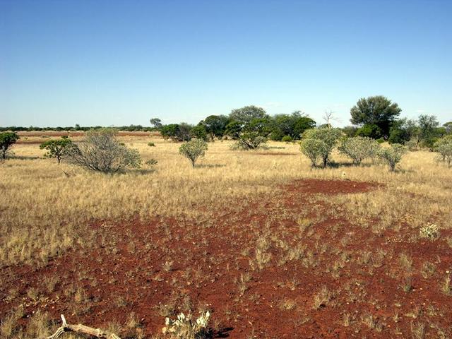 View from the confluence looking east