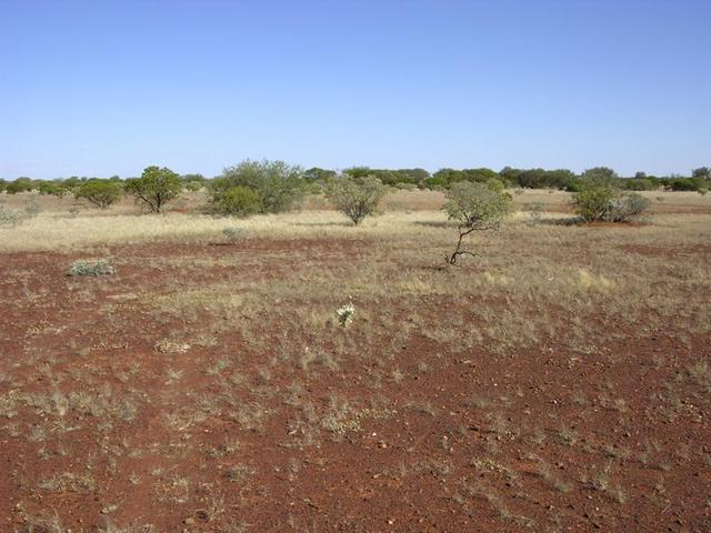 View from the confluence looking south