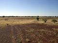 #2: View from the confluence looking north