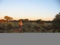 #7: Peter in spinifex approximately 500m south of the confluence