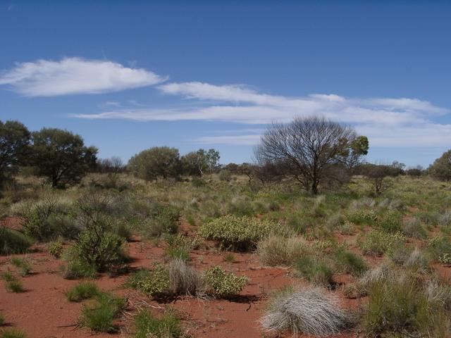 View north from confluence