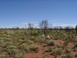 #1: View south from confluence