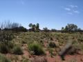 #2: View west from confluence (too many flies!)