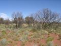 #4: View east from confluence