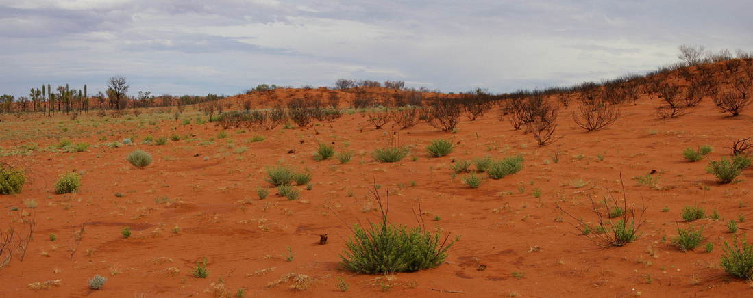 General View of Confluence Area