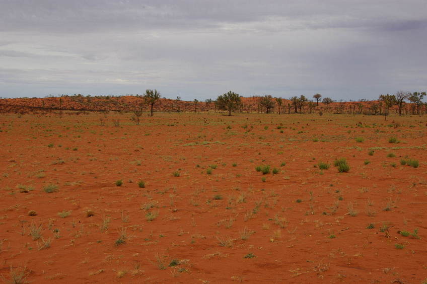 Looking South From Confluence