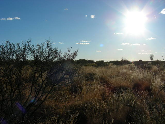 View west