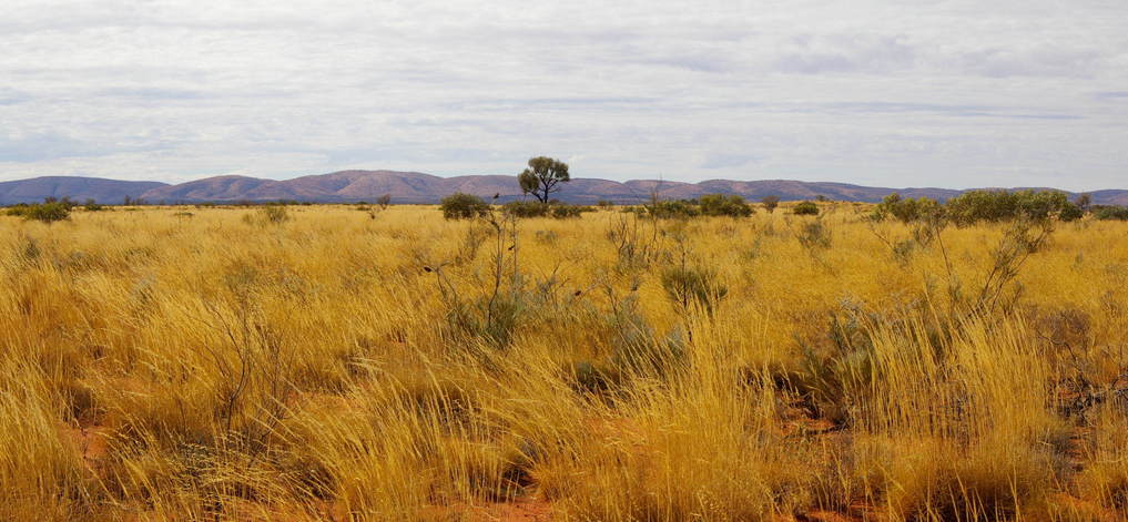 General View of Confluence Area with the Rawlinson Ranges in the Background