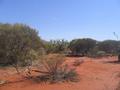 #2: Looking north from the 26°S 115°E confluence.