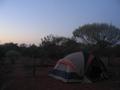#8: Our campsite in the early morning.