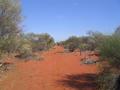 #9: We followed this fence-line for more kilometres than we care to remember.