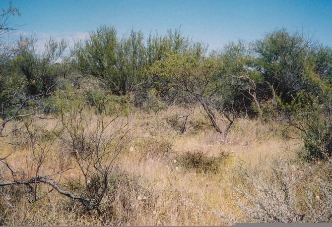 General view of CP to the south west