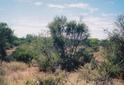 #4: View from CP looking east