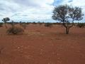 #2: View looking north from the confluence.