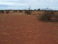 #4: View looking east from the confluence.