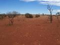 #5: View looking west from the confluence.