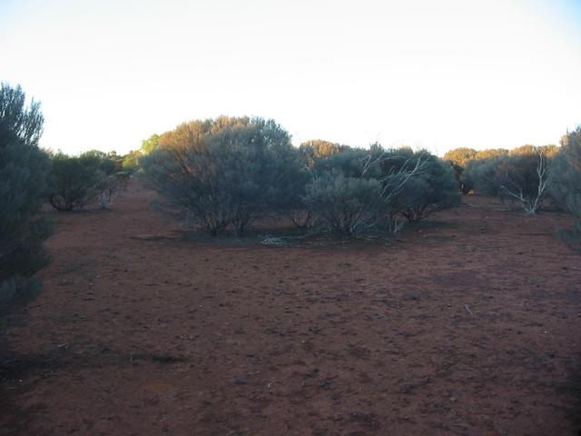 Looking north