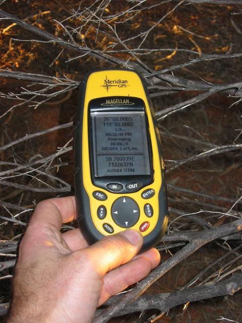 Photo of GPS in the tree