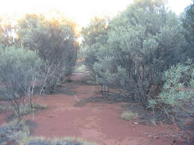 The confluence point