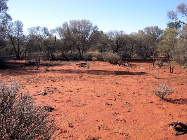 View from the confluence looking north