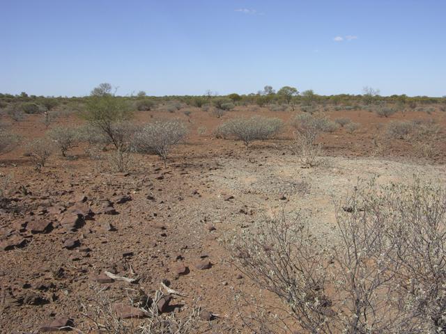 View from the confluence looking east