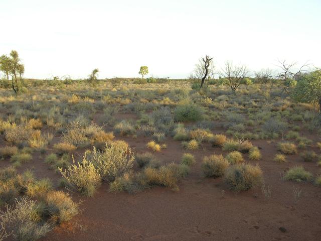 View from the confluence looking