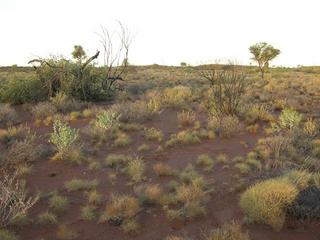 #1: View of the confluence looking east