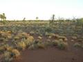 #4: View from the confluence looking