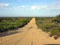 #2: The Vermin Proof Fence