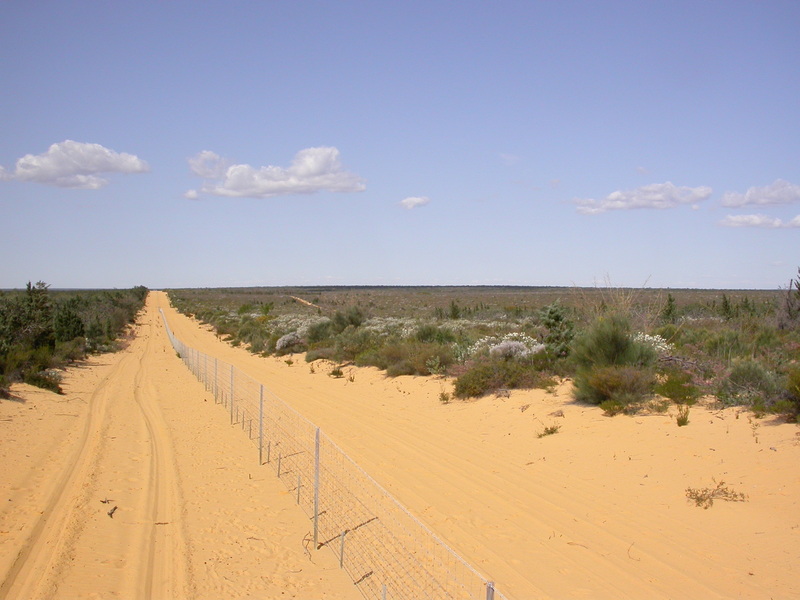 vermin proof fence