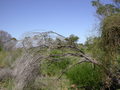 #3: South