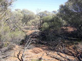 #1: View of the confluence looking west