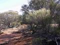 #2: View from the confluence looking north