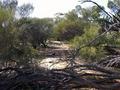 #3: View from the confluence looking east