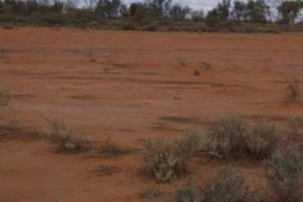 #1: General area looking south over the confluence