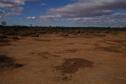 #5: View looking west from the confluence