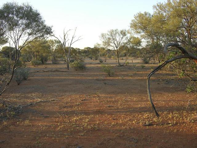 View from the confluence looking north