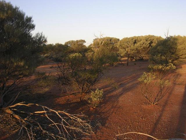 View from the confluence looking east