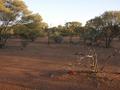 #4: View from the confluence looking south