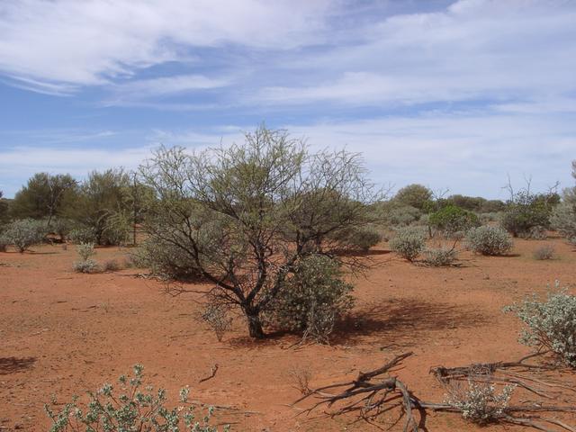 View of the confluence, looking south