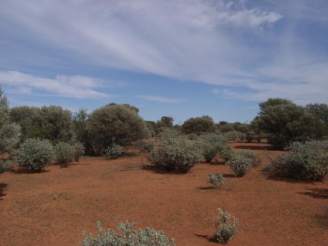 View from the confluence, looking west