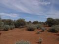 #2: View from the confluence, looking west