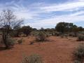 #3: View from the confluence, looking north