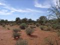 #4: View from the confluence, looking east