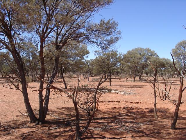 View east from confluence