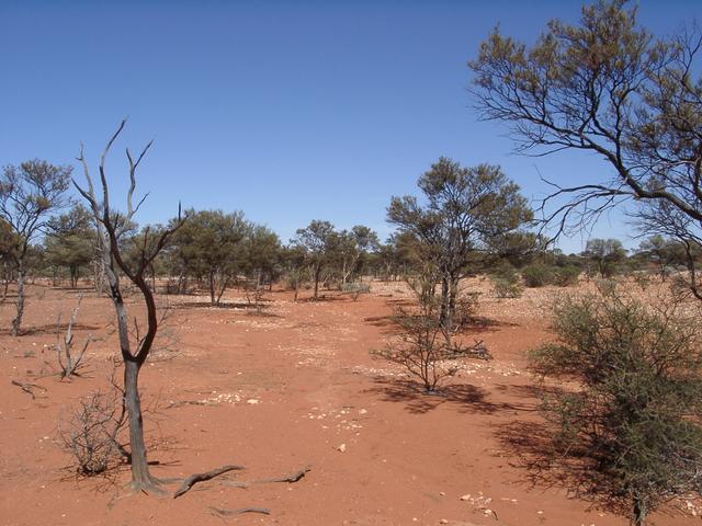 View south from confluence